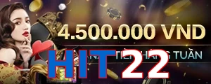 HIT22